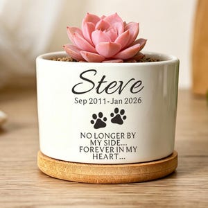 Personalized Ceramic Pet Memorial Planter, Custom Cat Dog Loss Sympathy Gift, Forever in My Heart Pet Flower Pot