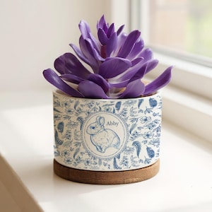 May include: A ceramic planter with a blue and white floral design and a rabbit illustration, holding a vibrant purple succulent. The planter has the name "Abby" on it and sits on a wooden coaster, placed on a white windowsill.