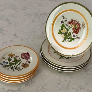 May include: A set of white ceramic plates featuring a central botanical illustration of colorful flowers and butterflies, accented by a bright orange inner ring and a dark green outer rim. The plates are arranged in two stacks, one flat and one upright.