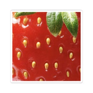 Strawberry Stickers, Cute Fruit Decor, Laptop Sticker, Scrapbooking, Party Favors, Water Bottle Decals