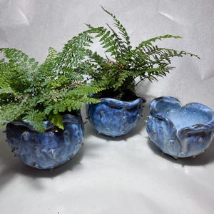 May include: Three blue ceramic planters with a spiky texture, each holding green ferns. The planters have a glossy finish and varying shapes, with one resembling a heart. The ferns add a natural element to the decorative pots.