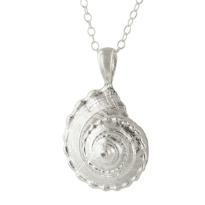 Sterling Silver Sea Shell Golden Ratio Pendant Necklace