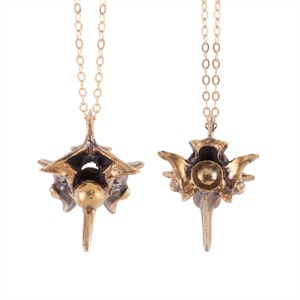 Snake Vertebrate Necklace in brass with goldfill chain
