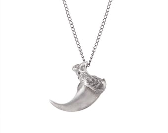 Op de afbeelding: Een zilveren ketting met een klauw hanger. De klauw is gedetailleerd en realistisch, met een getextureerd oppervlak.