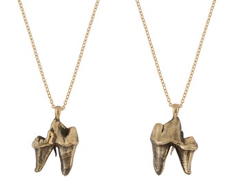 Coyote Tooth Necklace in Brass- Cast from a real tooth