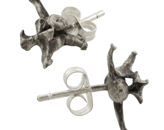 Cast Bones // Tiny Sterling Silver Vertebrate Bone Stud Earrings