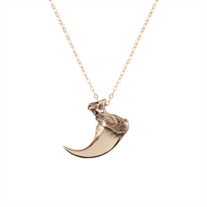 Bobcat Claw Necklace in Brass with goldfill chain- Cast from a real bobcat claw