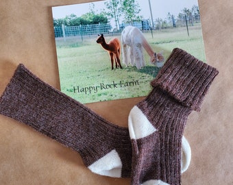 Baby Alpaca Color Block Baby Socks