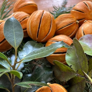 May include: Dried orange slices with a rustic, natural look, arranged with green leaves. The oranges are sliced and dried, revealing the texture of the fruit. The leaves are a deep green and add a touch of nature to the arrangement.