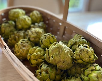 20 dried artichokes - great Fall decor