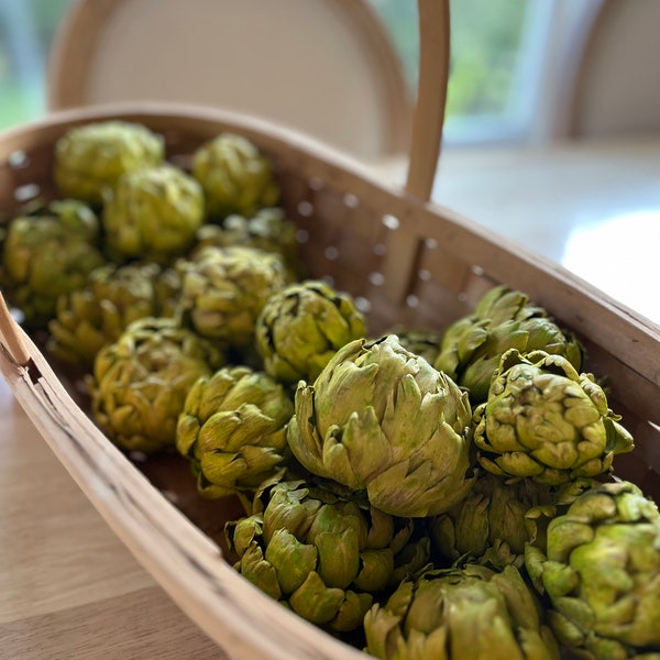 20 dried artichokes - great Fall decor