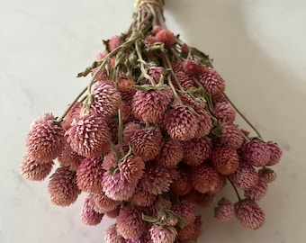 3 bundles dried globe amaranth- gomphrena