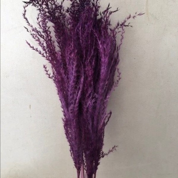 Purple Dried Flower Etsy