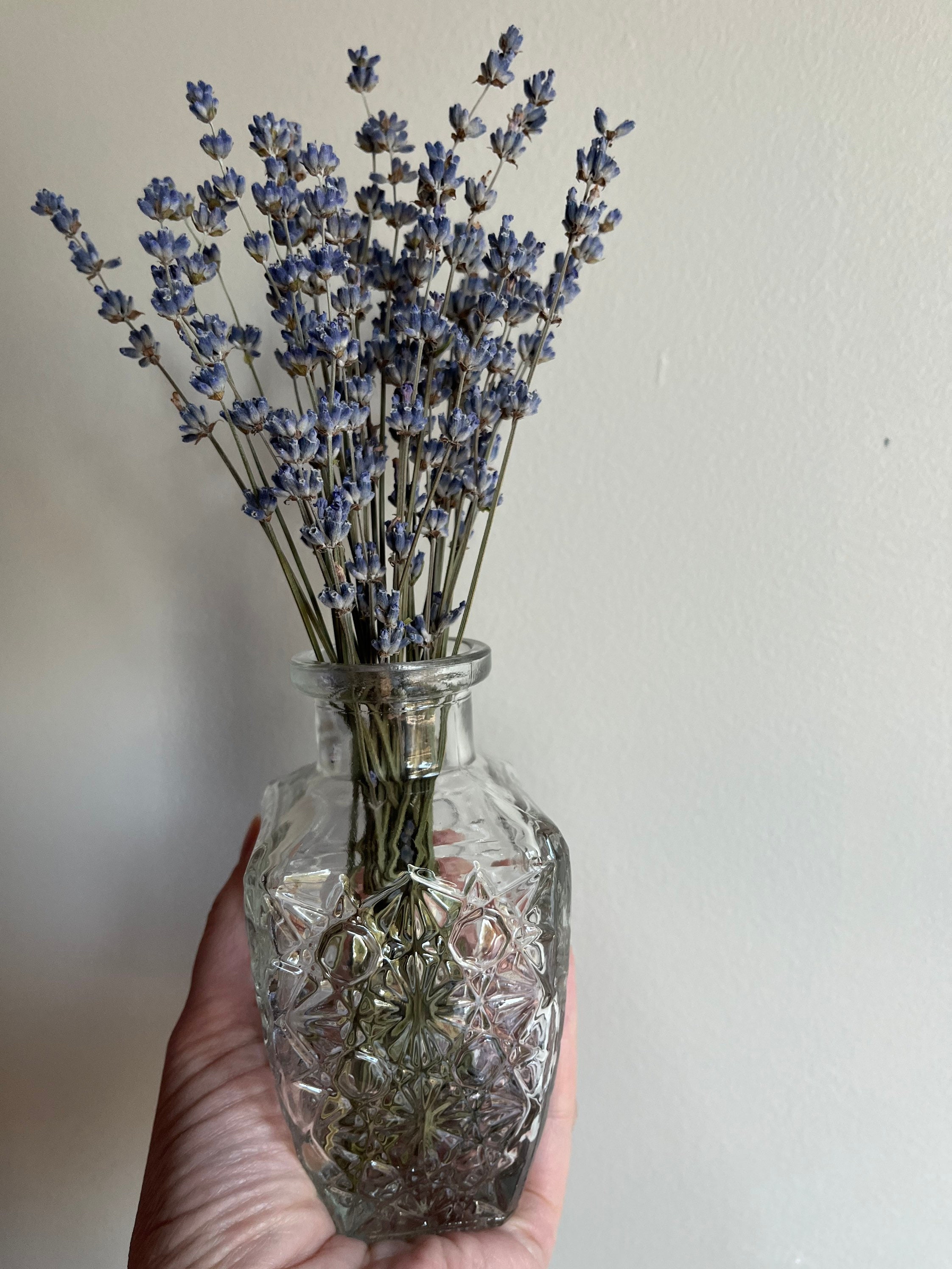 Dried Lavender Aromatherapy Diffuser With Vintage Inspired Bud Vase and  Essential Oil Set 
