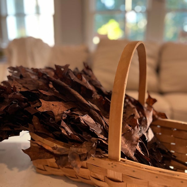 Dried chocolate brown oak leaves- fall oak decor - real dried oak leaves