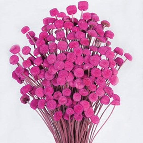 Button Flowers - Etsy