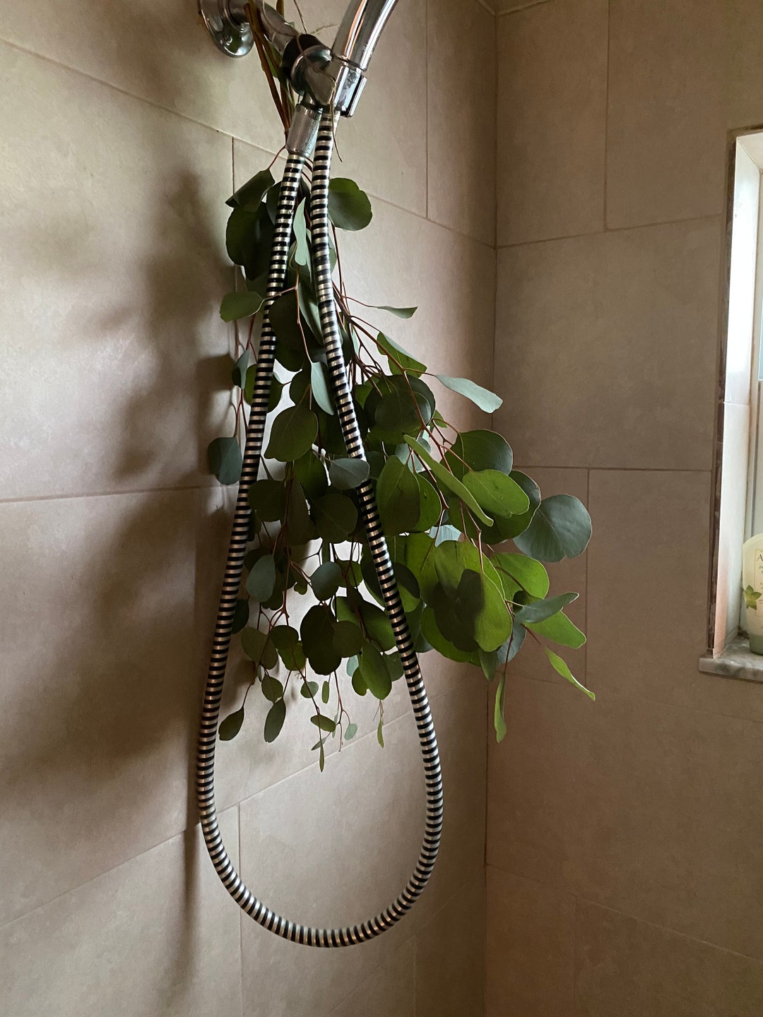 DIY Natural Shower Steamers Make 3 Steamers Eucalyptus, Rosemary and