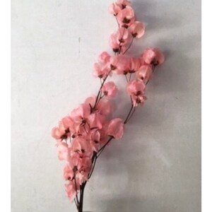 Dried Bougainvillea - Unique coastal mediterranean decor - Florida house decor image 5