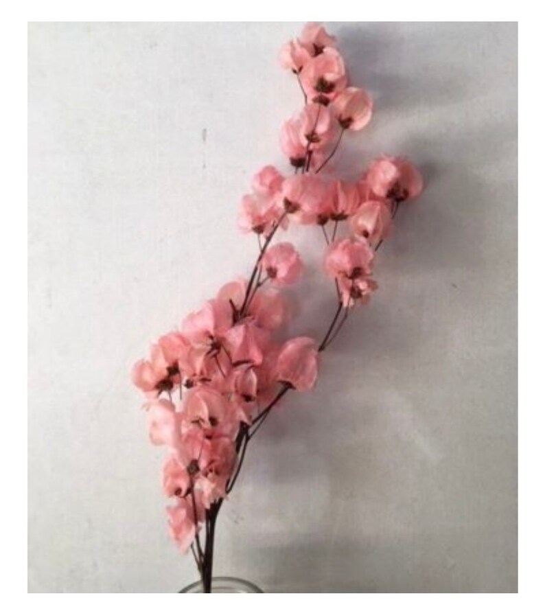 Dried Bougainvillea - Unique coastal mediterranean decor - Florida house decor image 5
