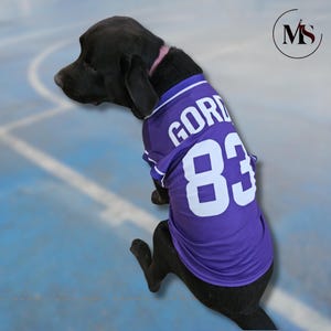 MVP Personalized Pet Basketball Jersey, Dog jersey, dog basketball jersey