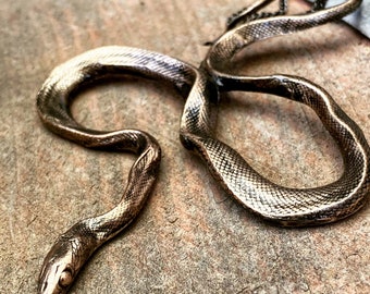Colubrid Snake Pendant - Snake Necklace