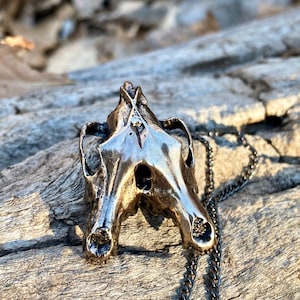 May include: A silver-toned metal pendant in the shape of a skull, hanging from a black chain. The pendant is detailed and realistic, with visible teeth and eye sockets.