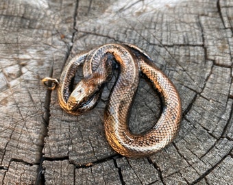 Coiled Snake Necklace - Cast Bronze Pendant