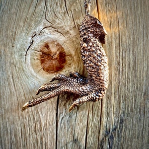 Cast Bronze Bearded Dragon Lizard Foot Pendant - Good Luck Charm