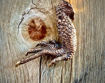 Cast Bronze Bearded Dragon Lizard Foot Pendant - Good Luck Charm