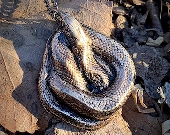 Coiled Snake Pendant - Cast Bronze