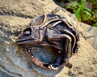 Chameleon Medallion - Cast Bronze