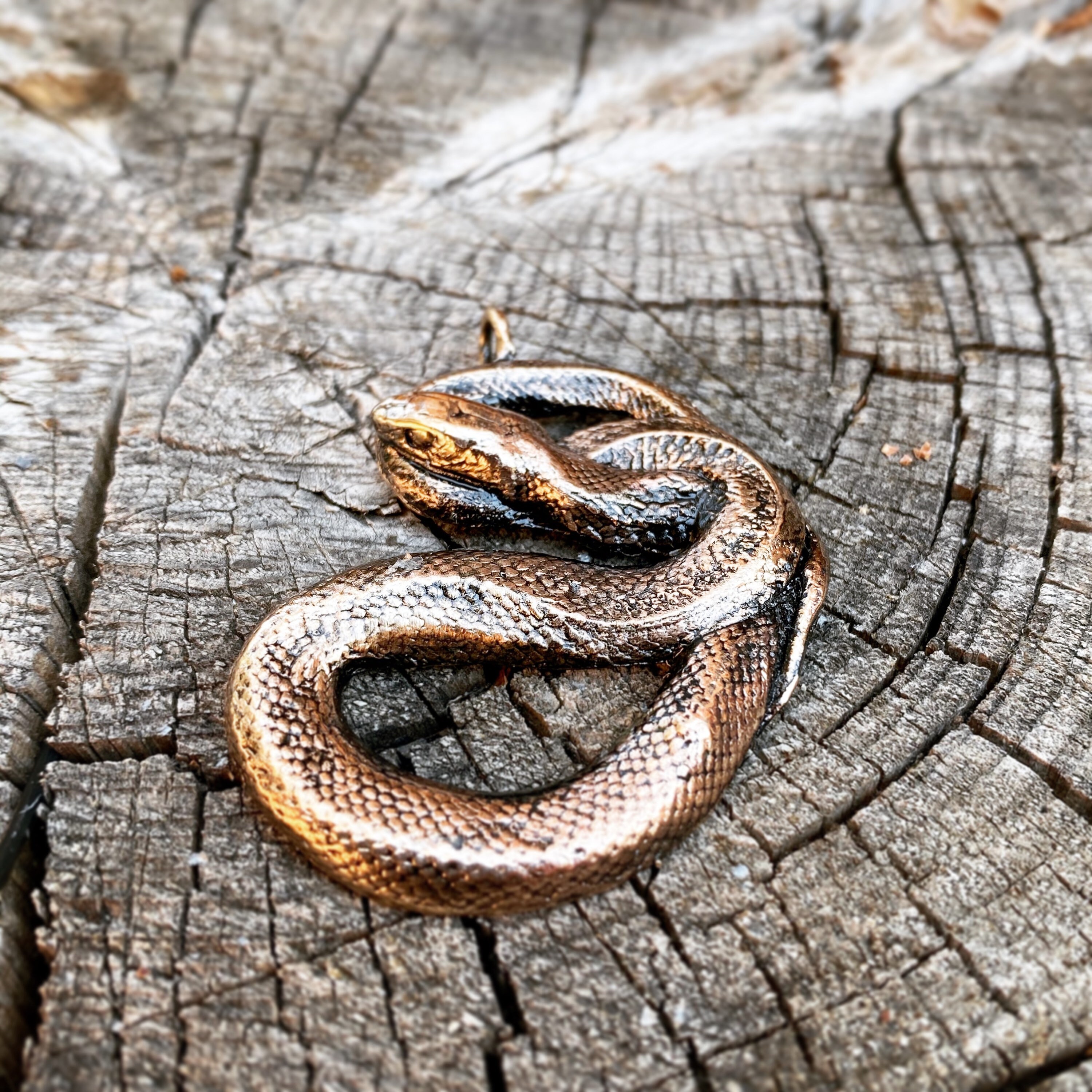 Coiled Snake Necklace Cast Bronze Pendant - Etsy