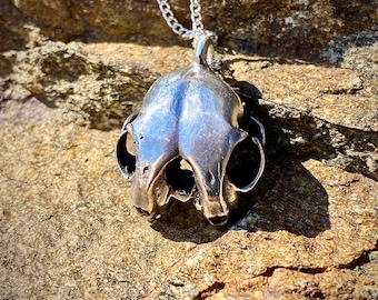 Diprosopic Feline - Two Faced Cat Skull - Conjoined Twin- Cast Sterling Silver