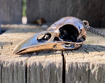 Cast Bronze Raven Skull Pendant