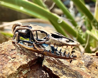 Nile Monitor Lizard Skull Pendant-Cast Bronze