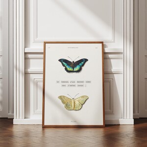 Dekoratives Poster mit Schmetterlingen – eindrucksvolle Illustration mit inspirierendem Zitat über Freiheit – Wandkunst für Naturliebhaber
