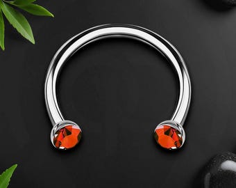 Titanium Horseshoe Ring with Red Crystals, Helix Hoop, Circular Barbell Piercing, Horseshoe Earring, Cartilage Earring, Ear Piercing