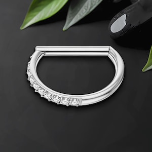 Titan Clicker Ring in D-Form Stil und Halbseite CZ, Helix Ring, Ohrläppchen Schmuck, Piercing Hoop, Knorpel Huggie, Nase Clicker