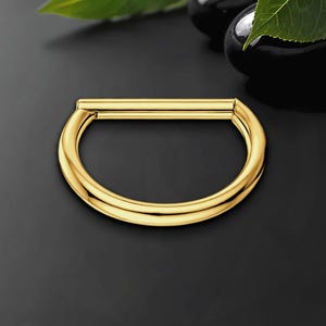 Titan Clicker Ring in klassischer D-Form Stil, Piercing Schmuck, Knorpel Ring, Ohrläppchen Huggie, Ohr Clicker, Rook Hoop