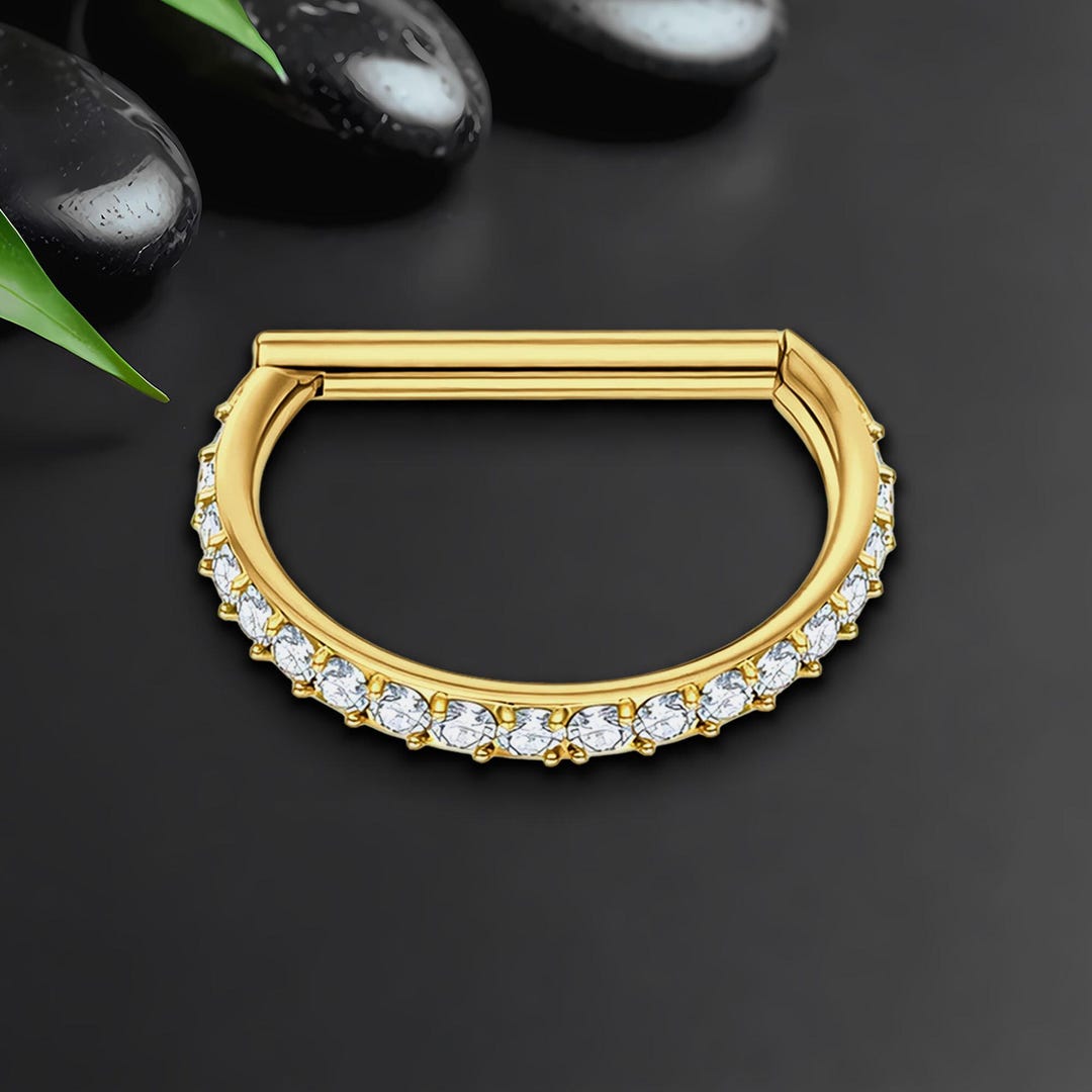 Titanium Clicker Ring in D Shape Style and Zirconia, Conch Piercing ...