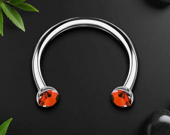 Titanium Horseshoe Ring with Red Crystals, Helix Hoop, Circular Barbell Piercing, Horseshoe Earring, Cartilage Earring, Ear Piercing, Silver