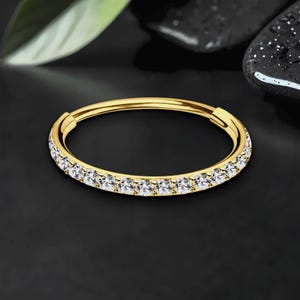 Titanium Clicker Ring in Classic Style with Thin Segment, Earlobe Hoop, Cartilage Earring, Rook Ring, Nostril Clicker, Piercing Huggie