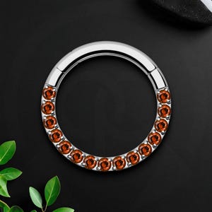 Titan Clicker Ring im klassischen Stil mit Red CZ, Septum Piercing, Nase Clicker, Daith Hoop, Piercingschmuck, Septum Ring