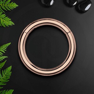 Anello clicker in titanio in stile semplice classico, anello daith, piercing al naso, piercing a cerchio, gioielli per setto, clicker daith