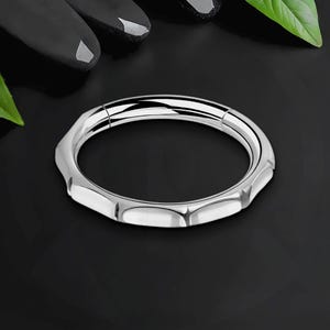 Titanium Clicker Ring in Modern Style, Helix Hoop, Ear Jewelry, Conch Ring, Nostril Piercing, Piercing Clicker