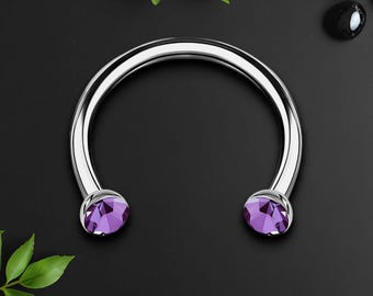 Titanium Horseshoe Ring with Purple Crystals, Rook Earring, Horseshoe Jewelry, Circular Barbell Hoop, Tragus Piercing, Nose Ring, Silver