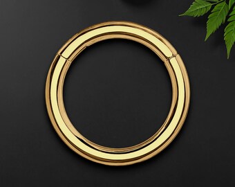 Titanium Clicker Ring in Classic Minimalist Style, Daith Jewelry, Septum Piercing, Nose Ring, Piercing Hoop, Septum Earring, Gold