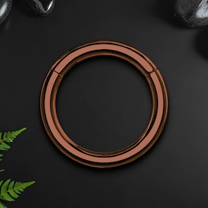 Titan Clicker Ring in klassisch minimalistischem Stil, Piercing Clicker, Septum Ohrring, Nasenschmuck, Daith Hoop, Piercing Ring, rot