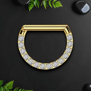 Titan Clicker Ring in D Form mit Face Side CZ, Piercing Schmuck, Daith Hoop, Septum Ring, Daith Ohrring, Nase Hoop