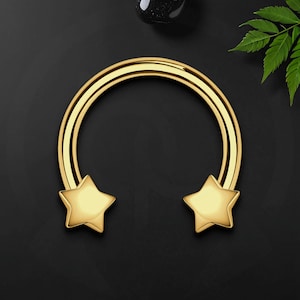 Surgical Steel Horseshoe Ring with Gold Stars, Conch Ring, Rook Earring, Horseshoe Jewelry, Circular Barbell Ring, Helix Hoop